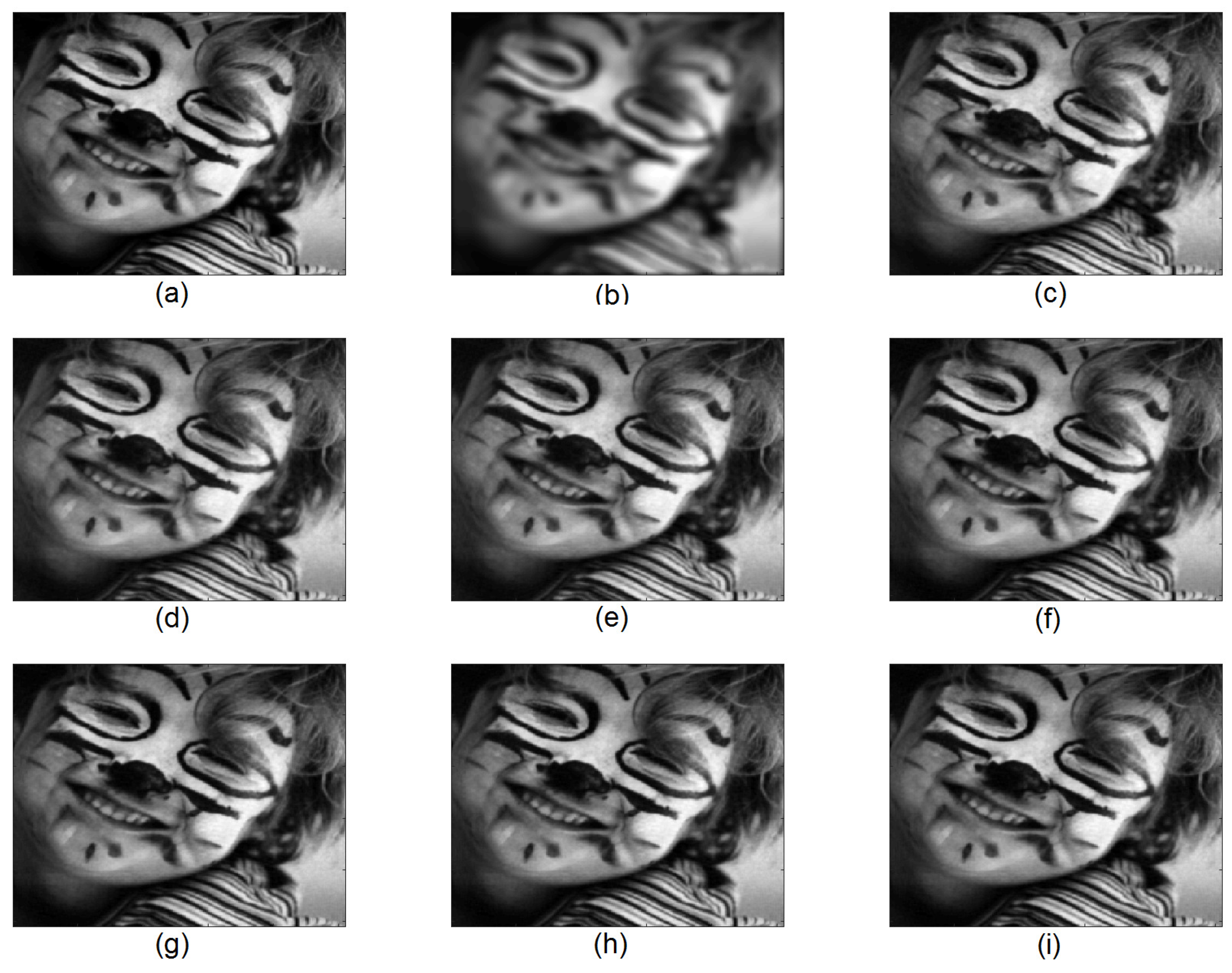 Mathematics 11 02869 g014