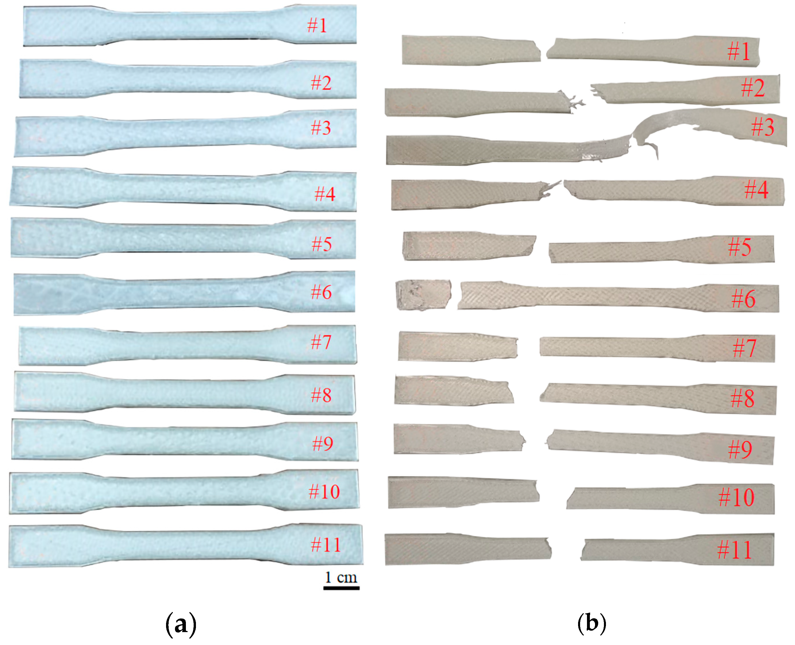 Mathematics 11 03022 g003