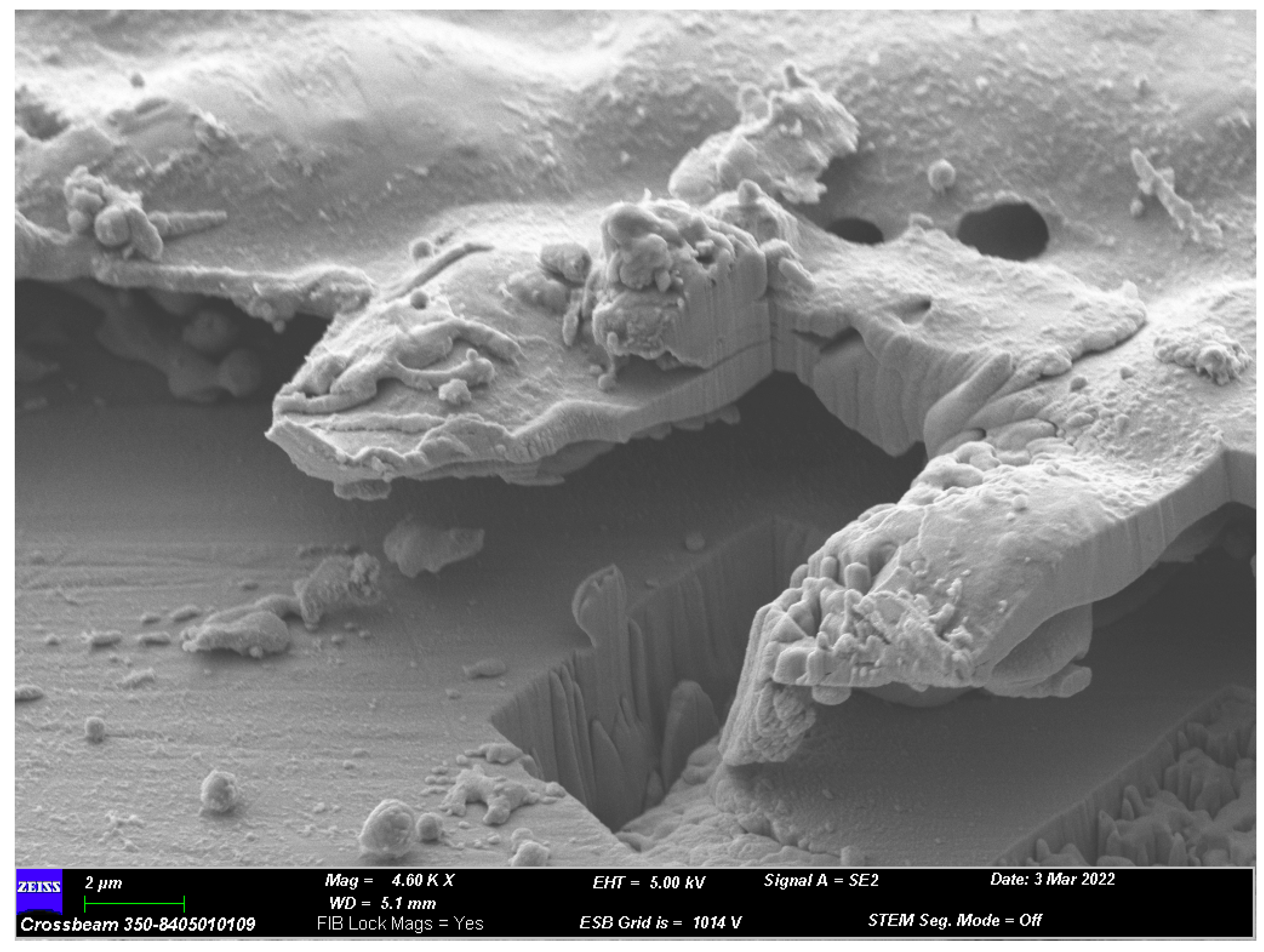 Mathematics 11 03174 g002