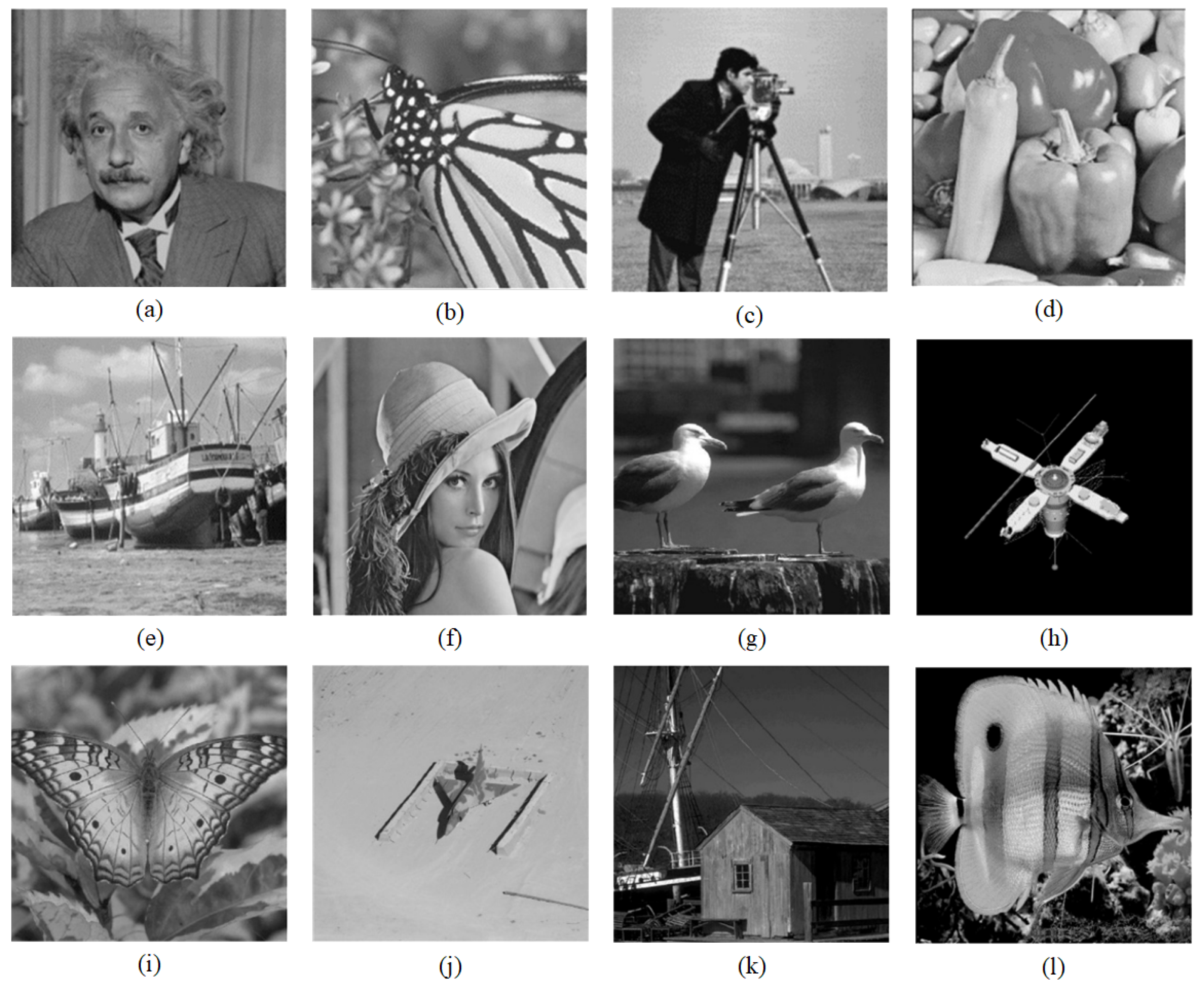 Mathematics 11 03302 g003