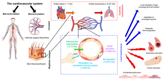Mathematics 11 03307 g003