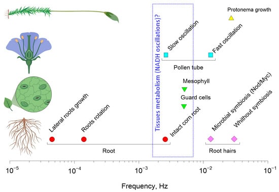 Mathematics 11 03307 g004