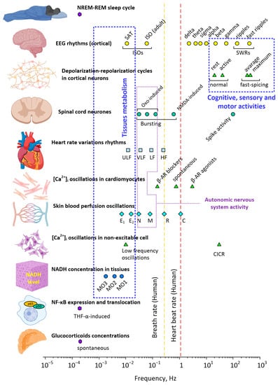 Mathematics 11 03307 g005