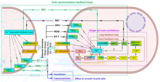 Mathematics 11 03307 g006