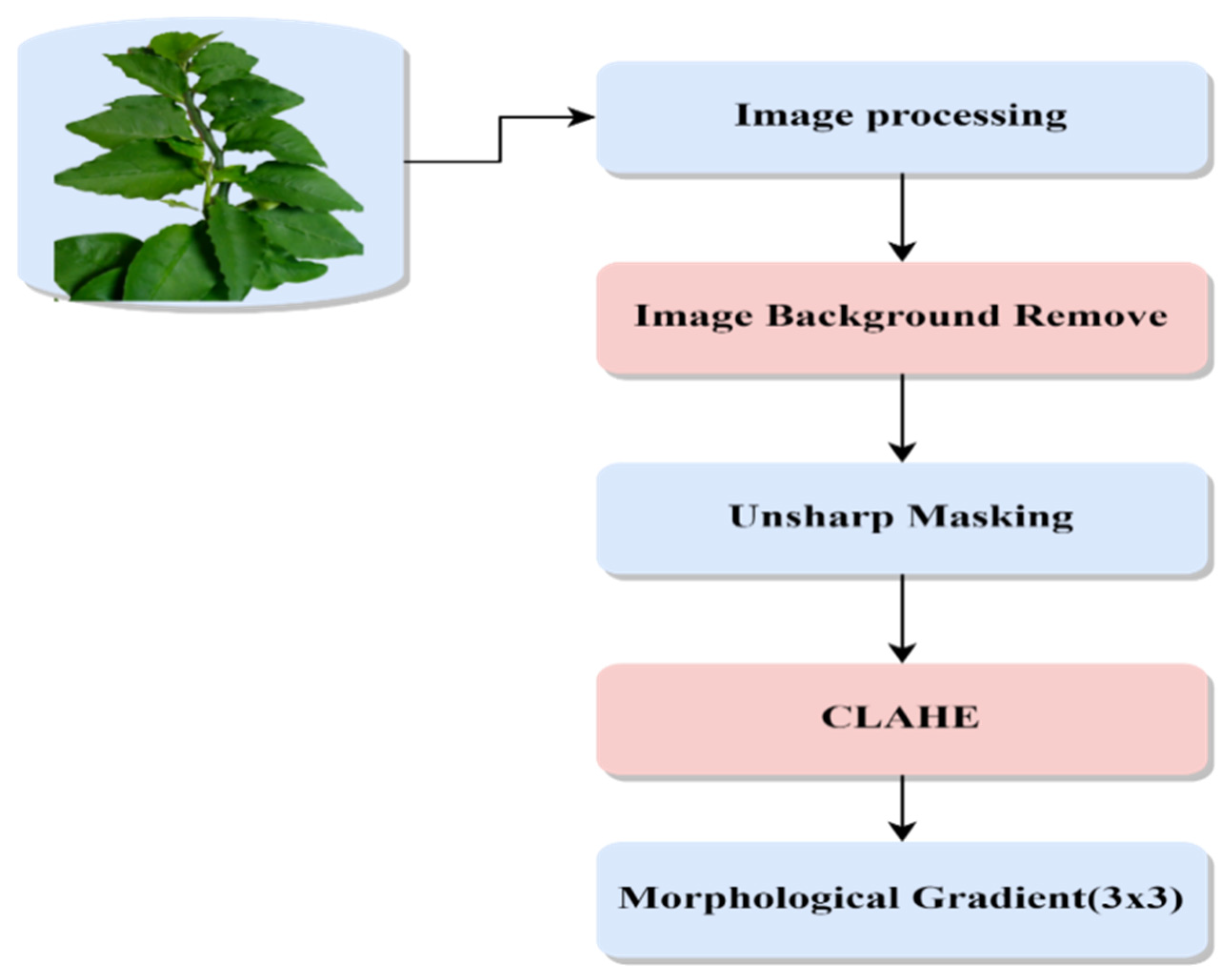Mathematics 11 03504 g003