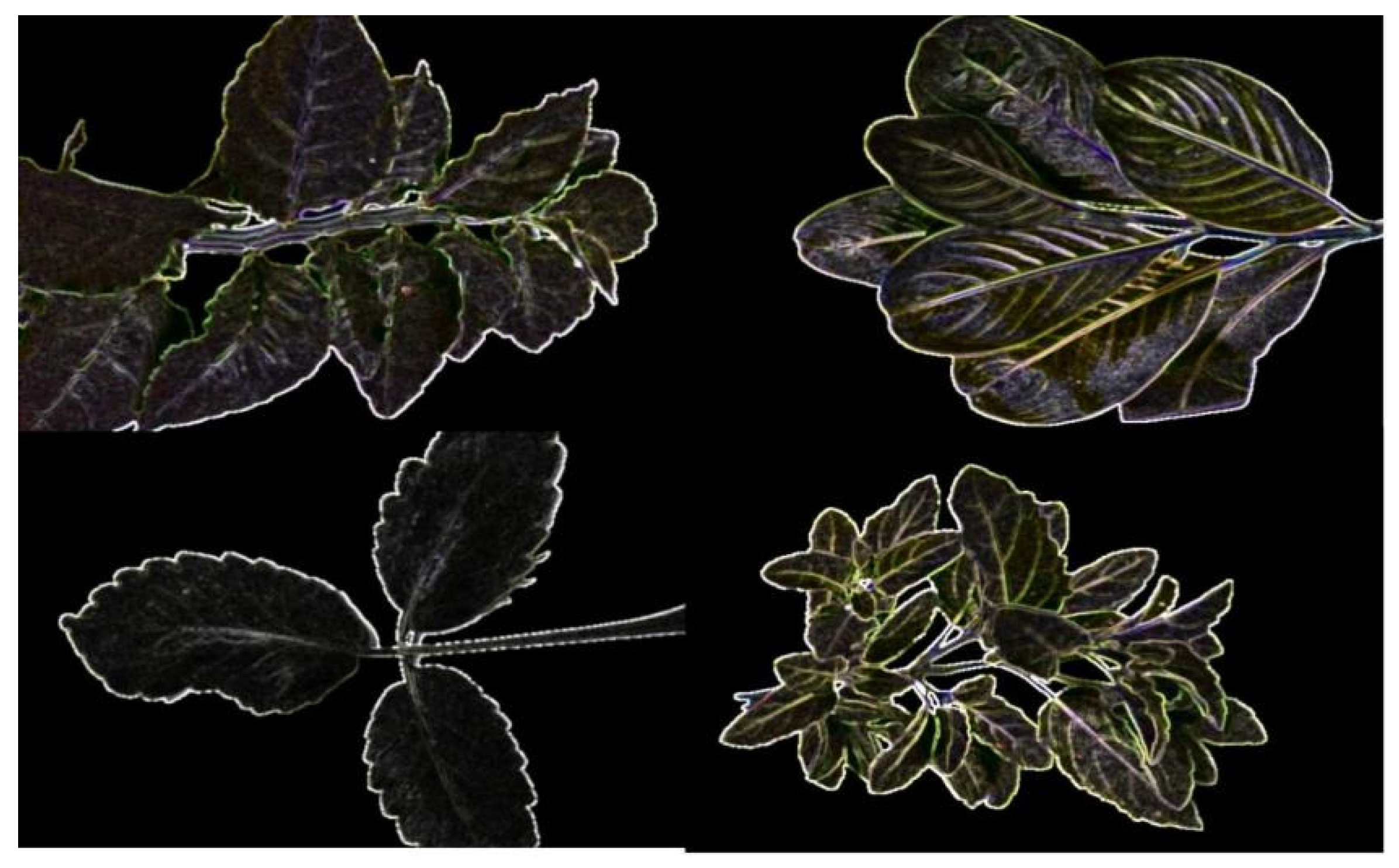 Mathematics 11 03504 g005