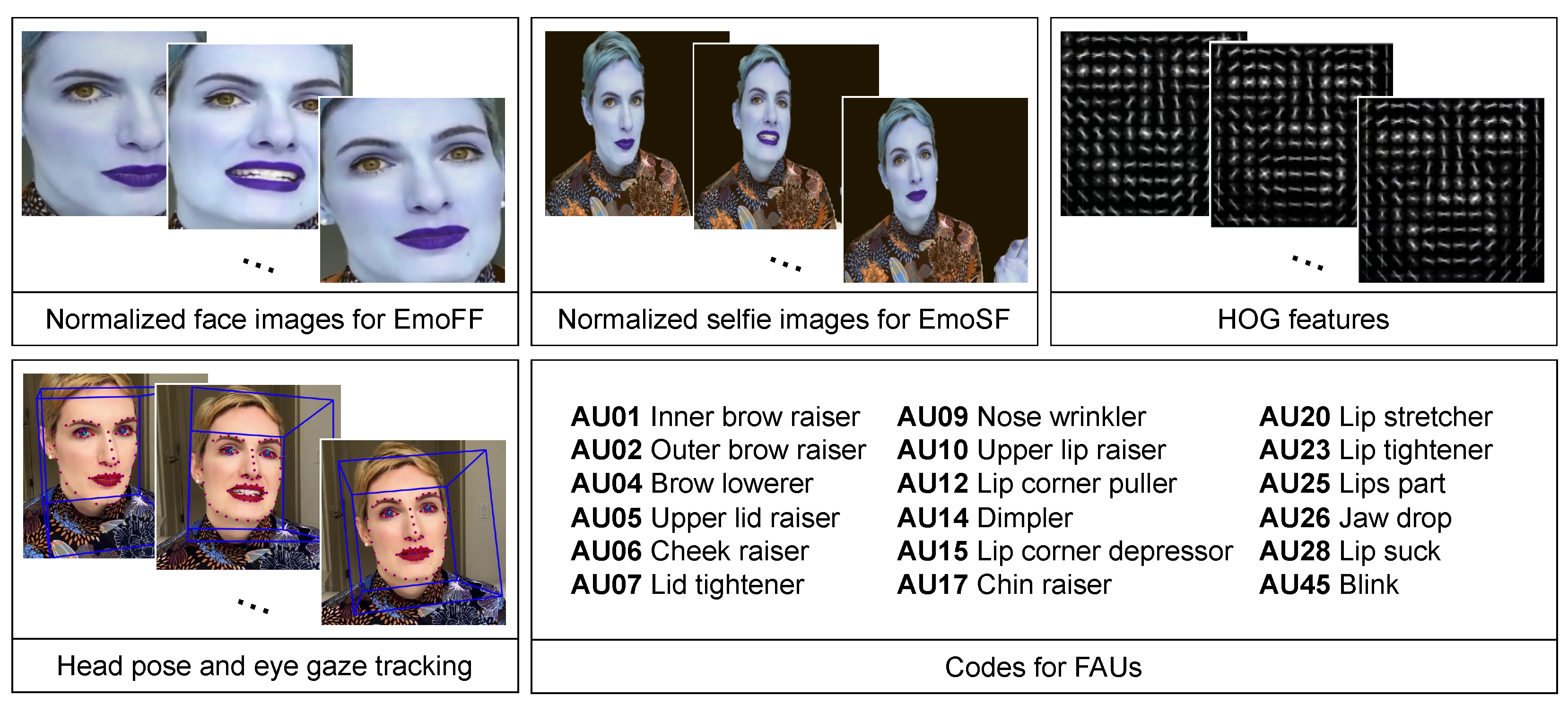 Mathematics 11 03519 g006