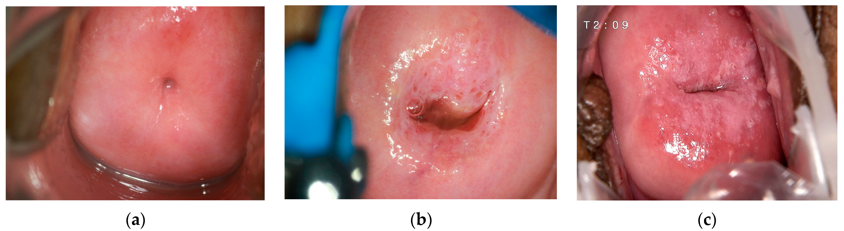 Mathematics 11 03689 g001