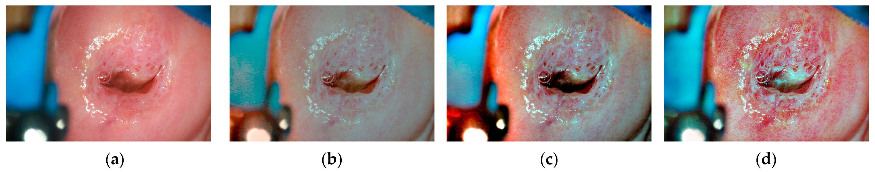 Mathematics 11 03689 g003