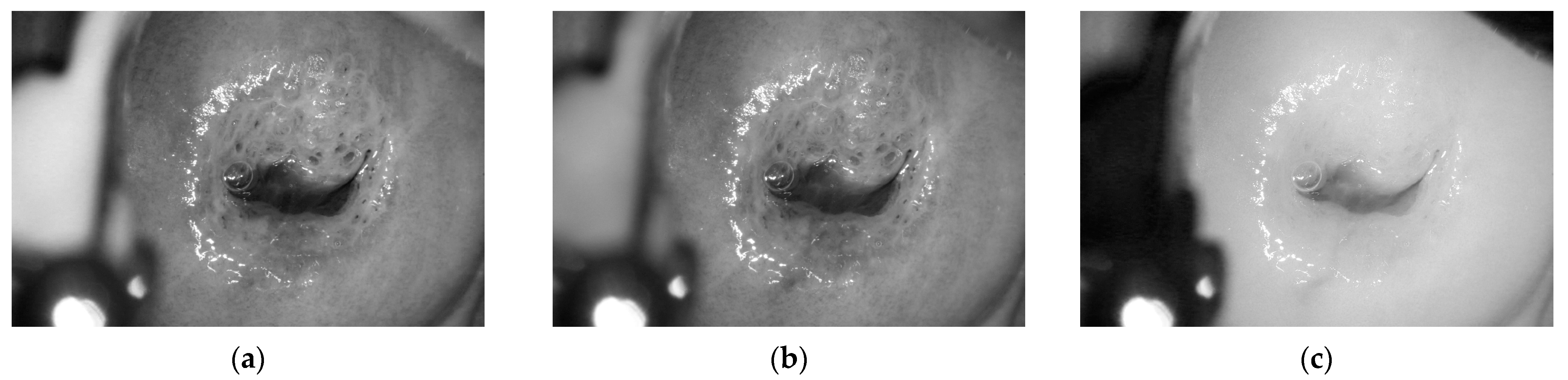 Mathematics 11 03689 g005
