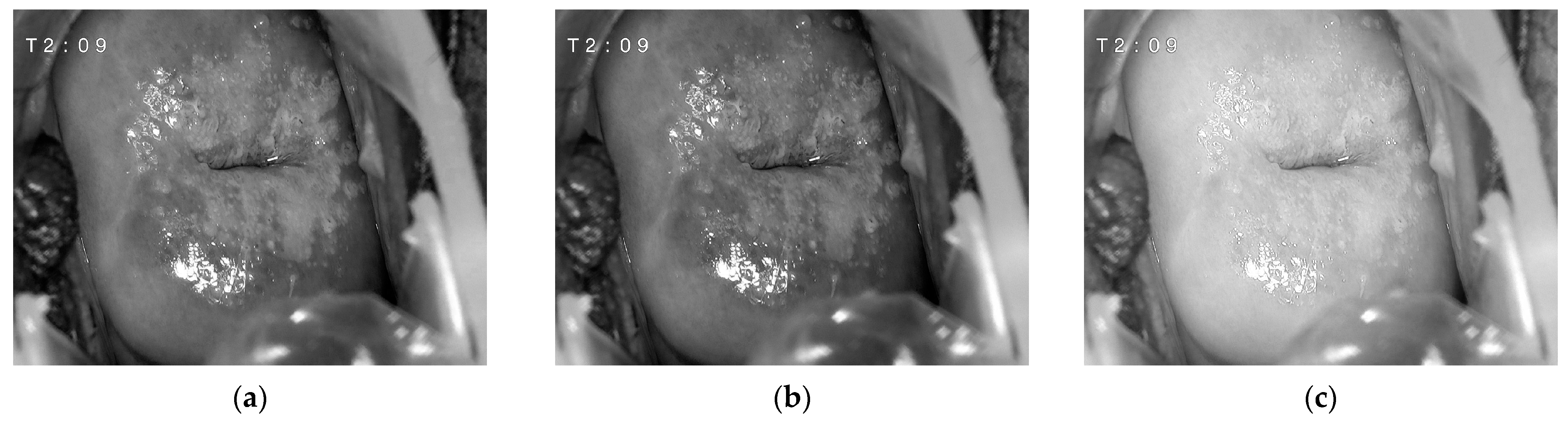 Mathematics 11 03689 g006