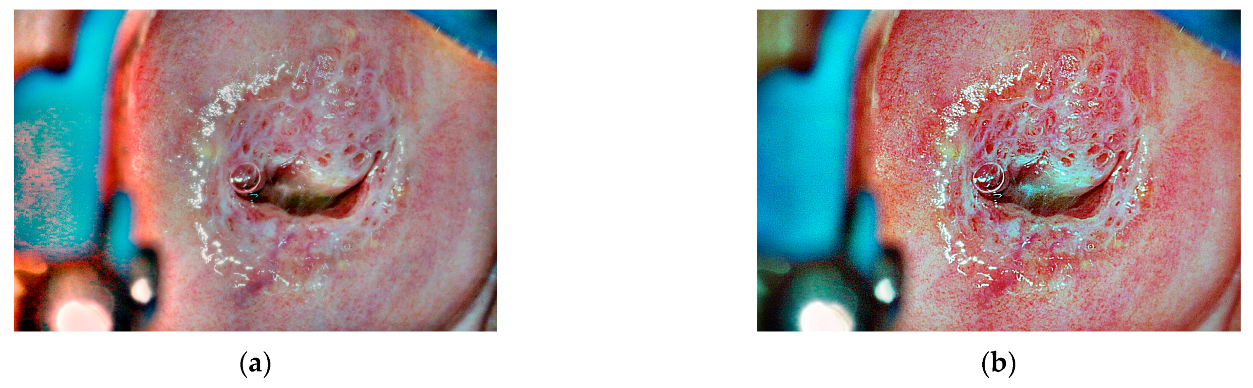 Mathematics 11 03689 g007a