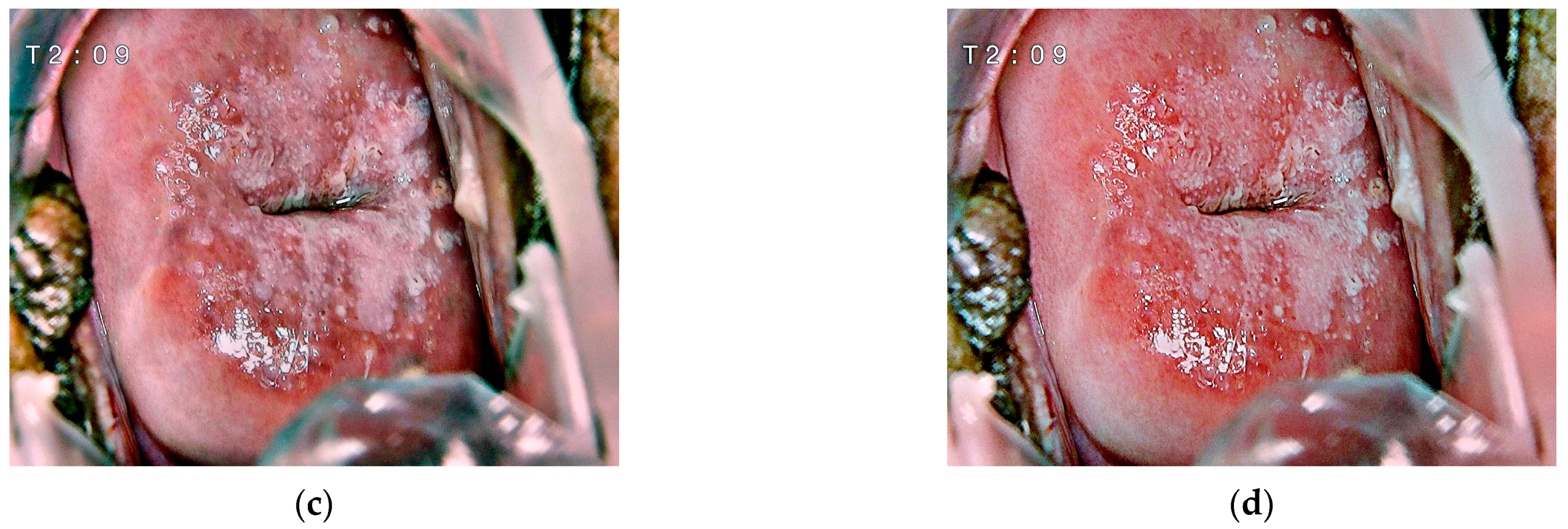 Mathematics 11 03689 g007b