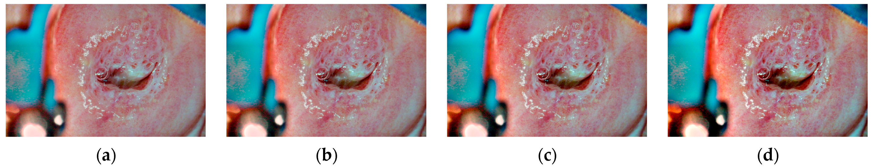 Mathematics 11 03689 g009