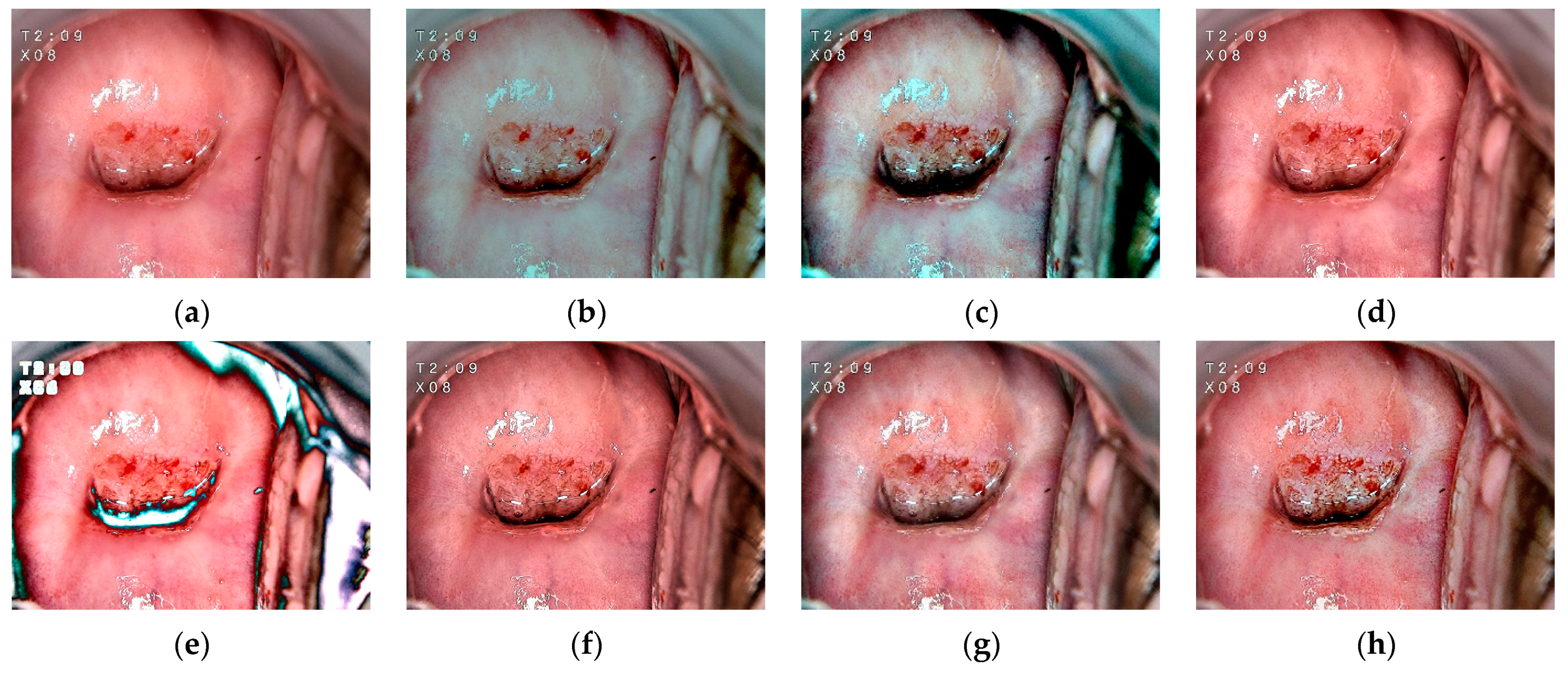 Mathematics 11 03689 g014