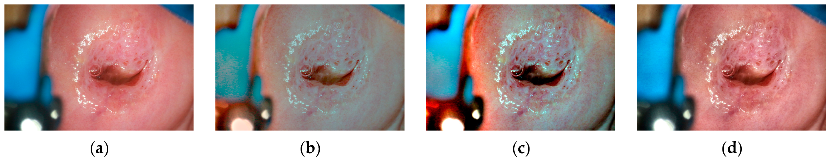 Mathematics 11 03689 g015a