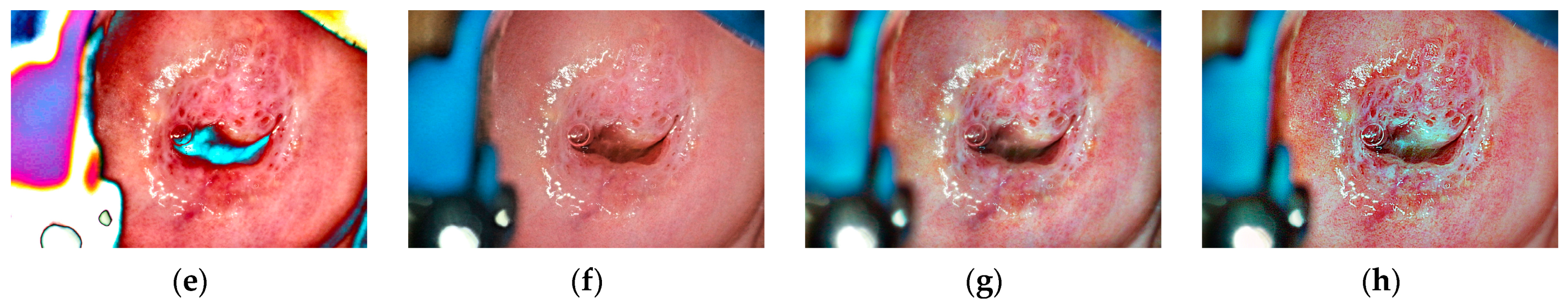 Mathematics 11 03689 g015b