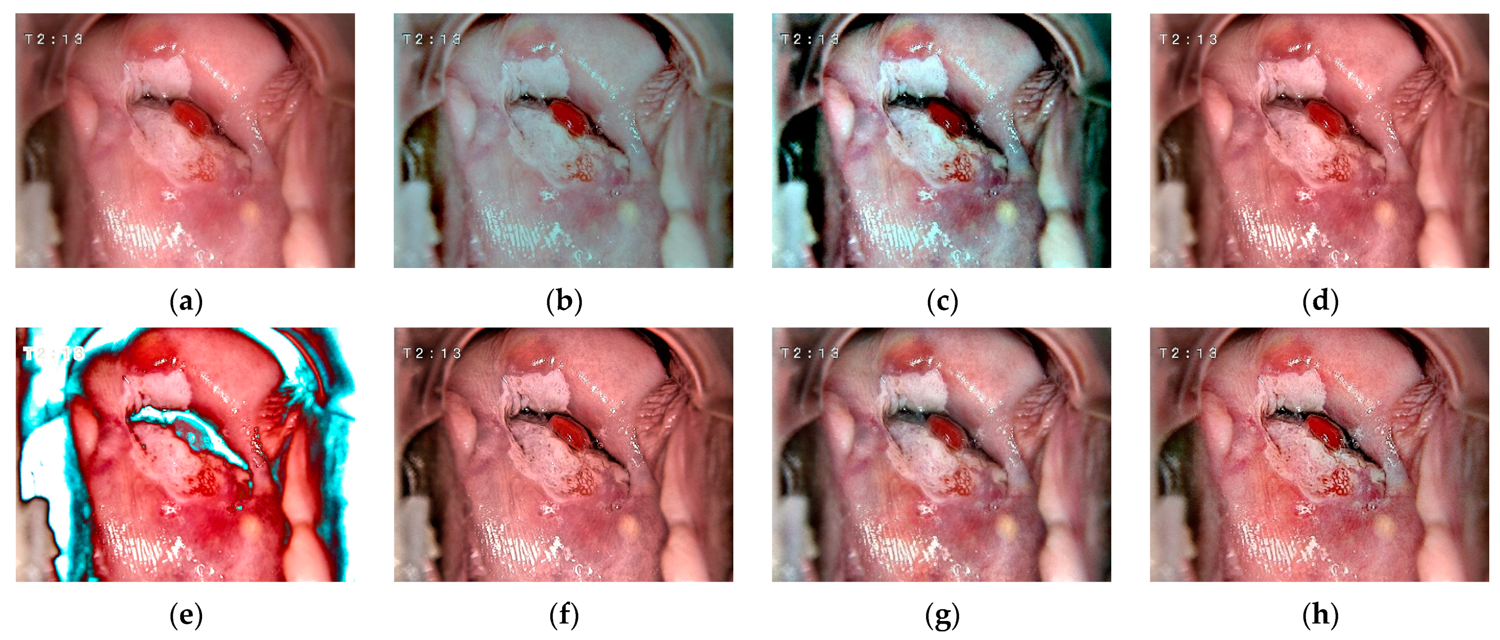 Mathematics 11 03689 g017