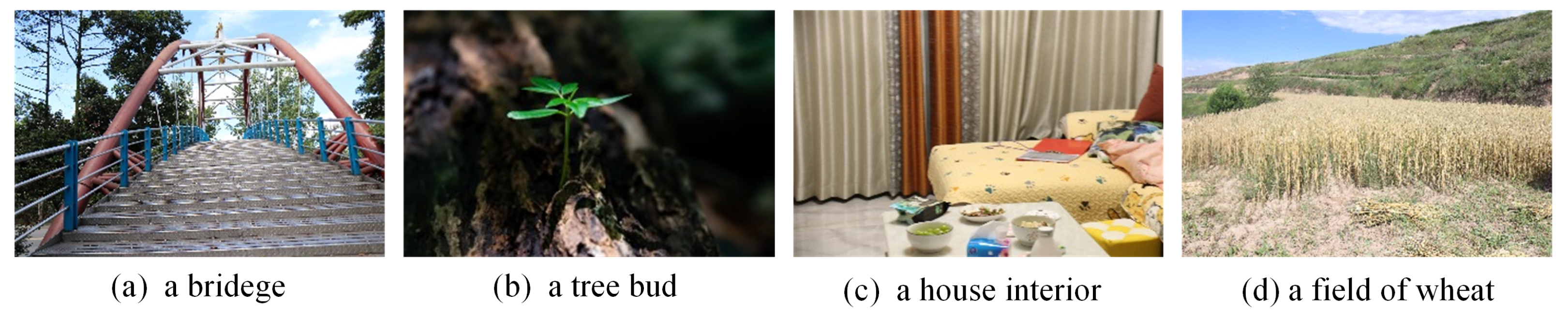 Mathematics 11 03940 g008