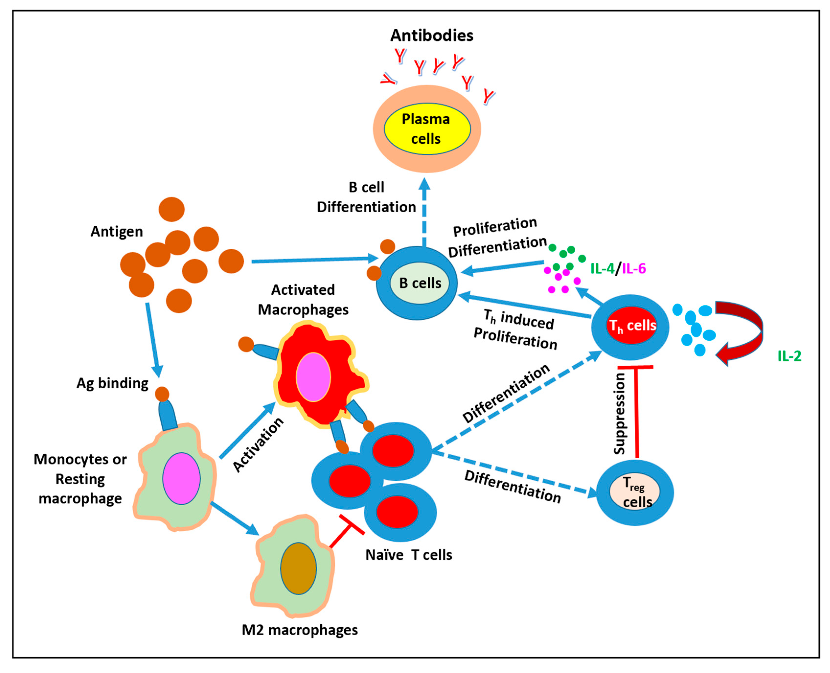 Mathematics 11 04017 g001 Mathematics 11 04017 g001