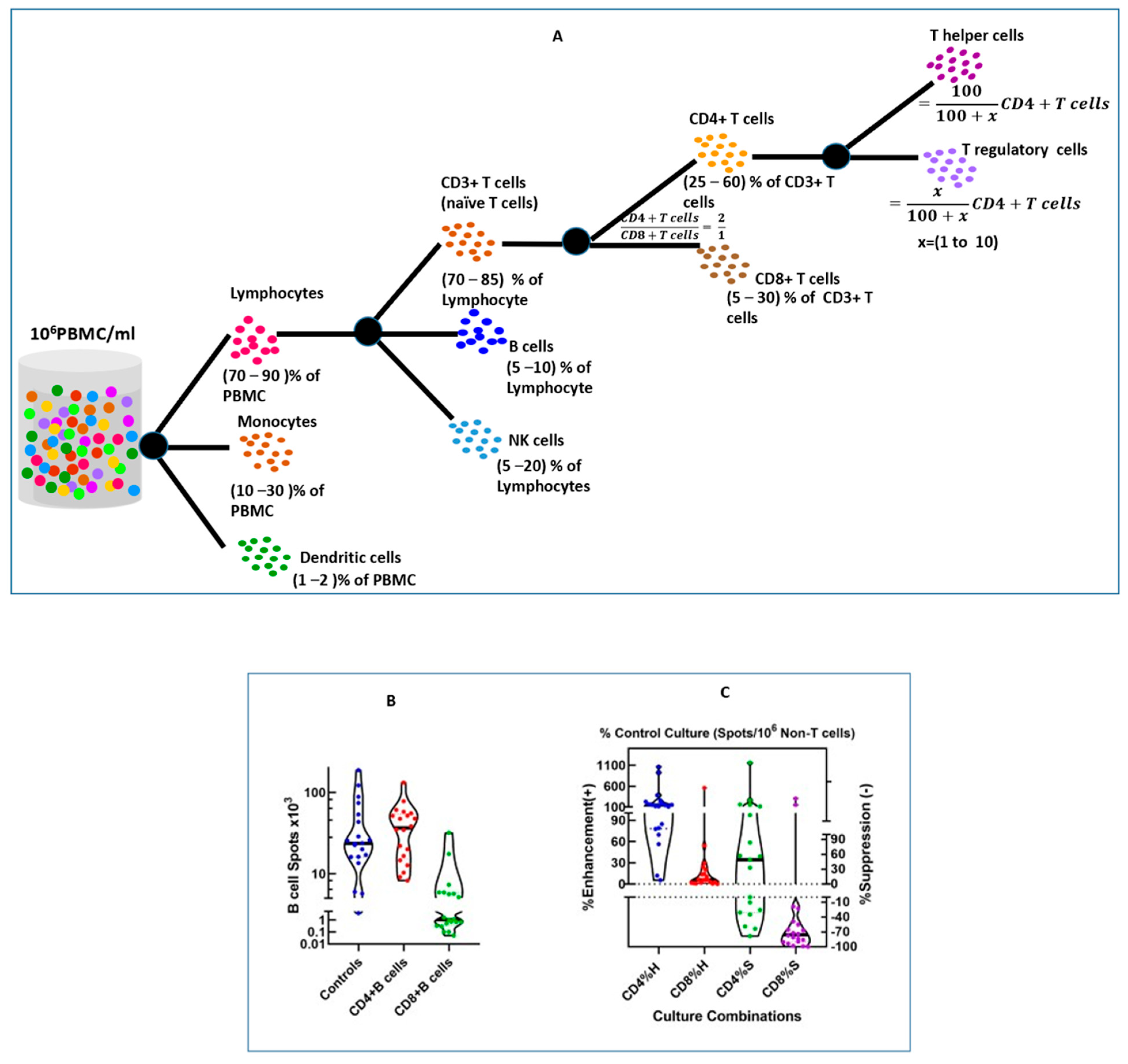 Mathematics 11 04017 g002 Mathematics 11 04017 g002