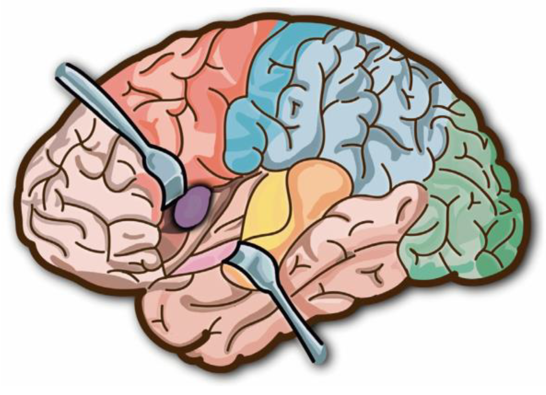 Mathematics 11 04133 g001