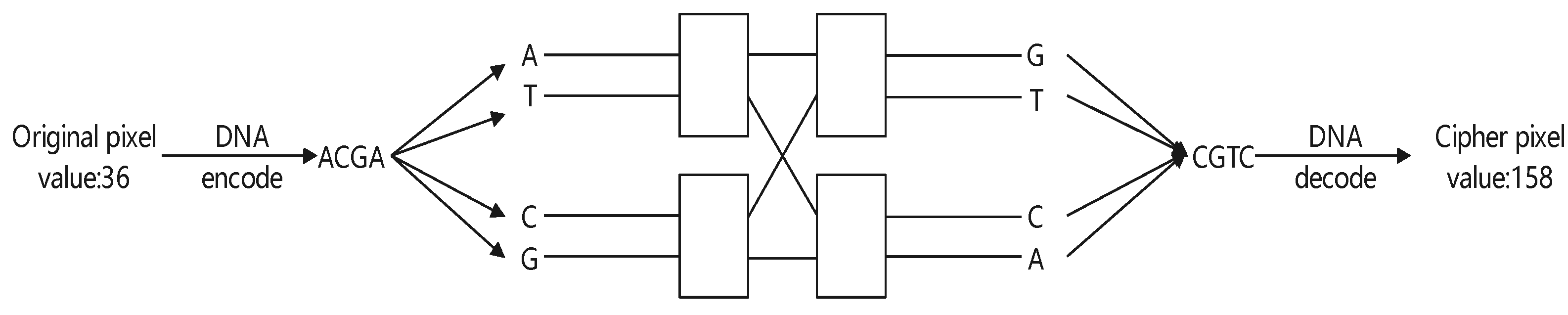 Mathematics 11 04411 g010