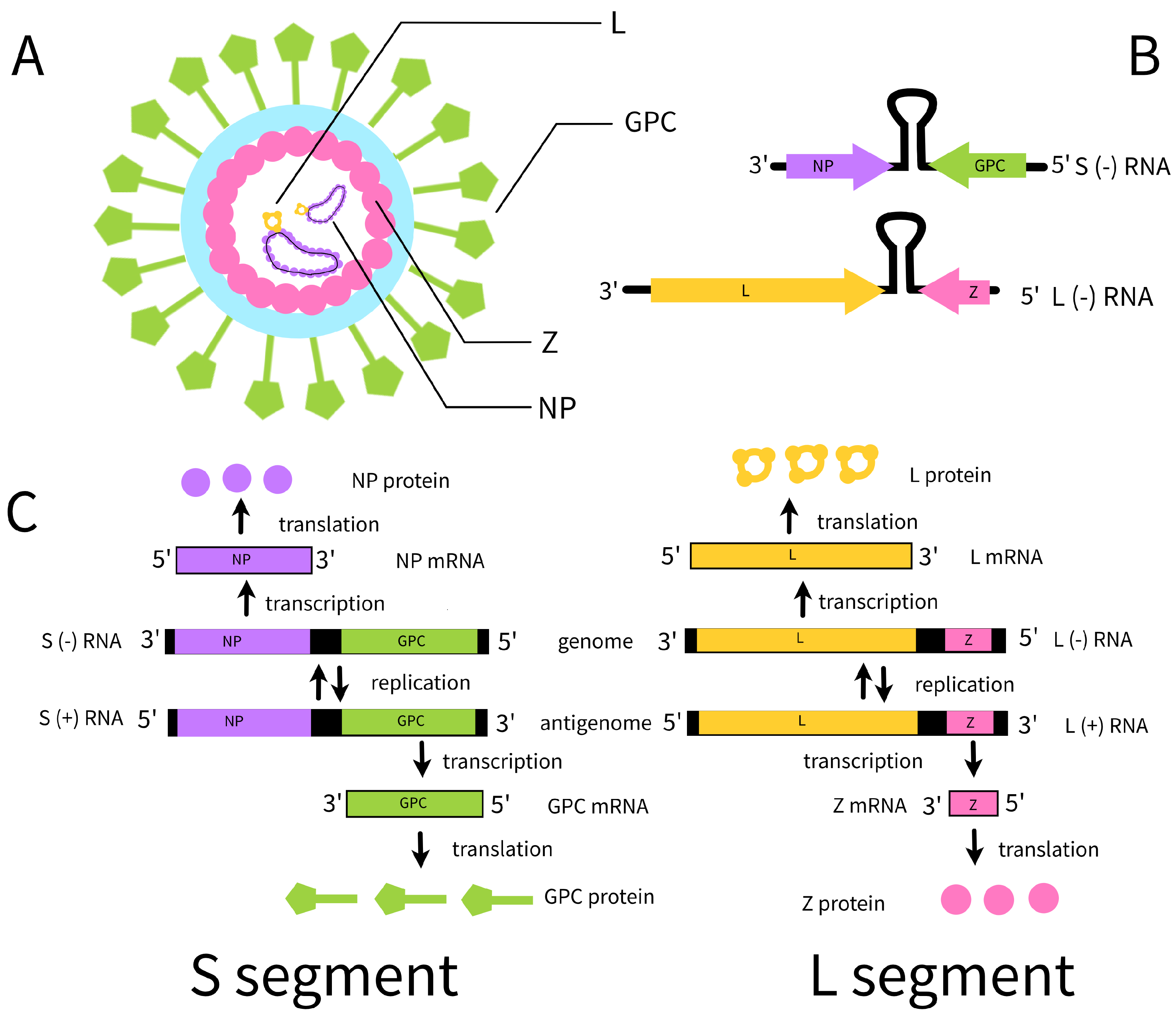 Mathematics 11 04454 g001