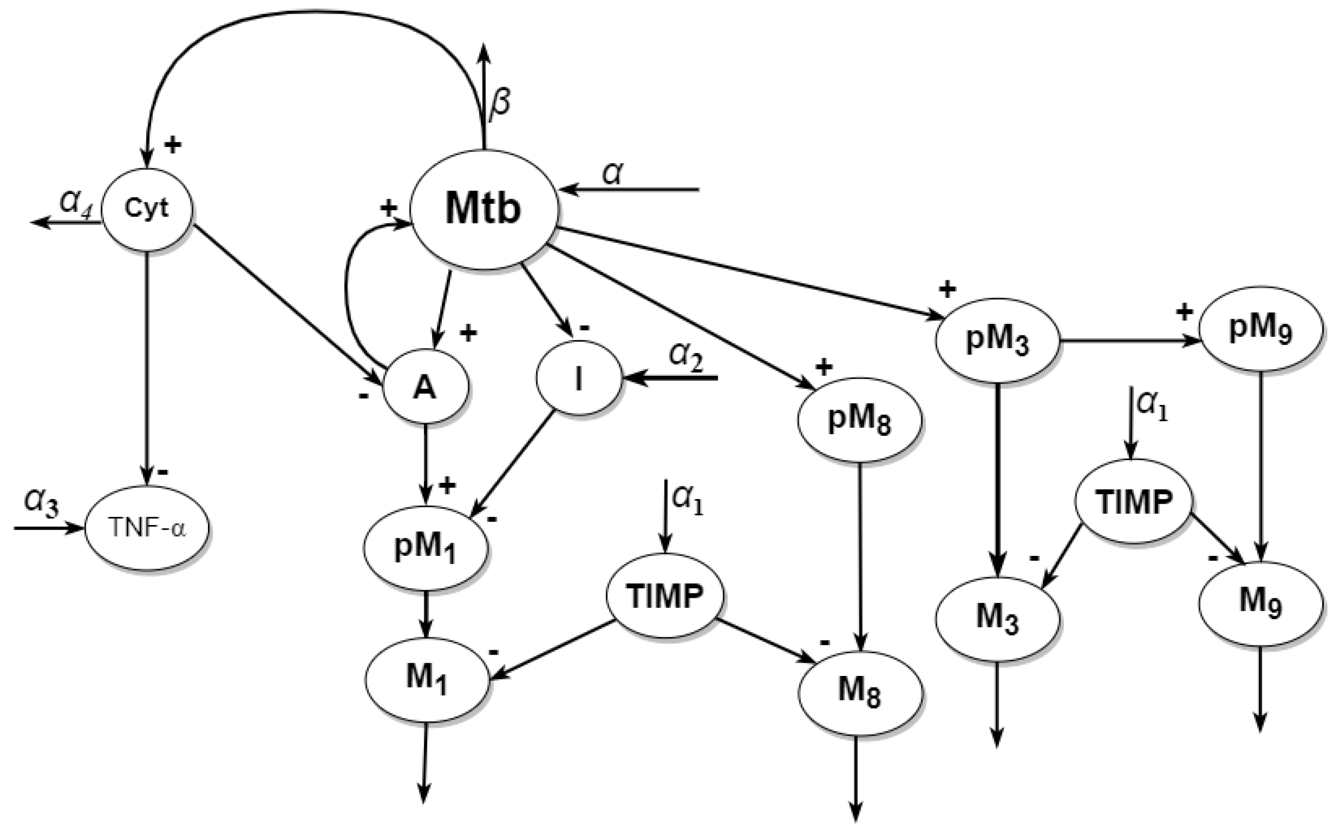 Mathematics 11 04522 g001