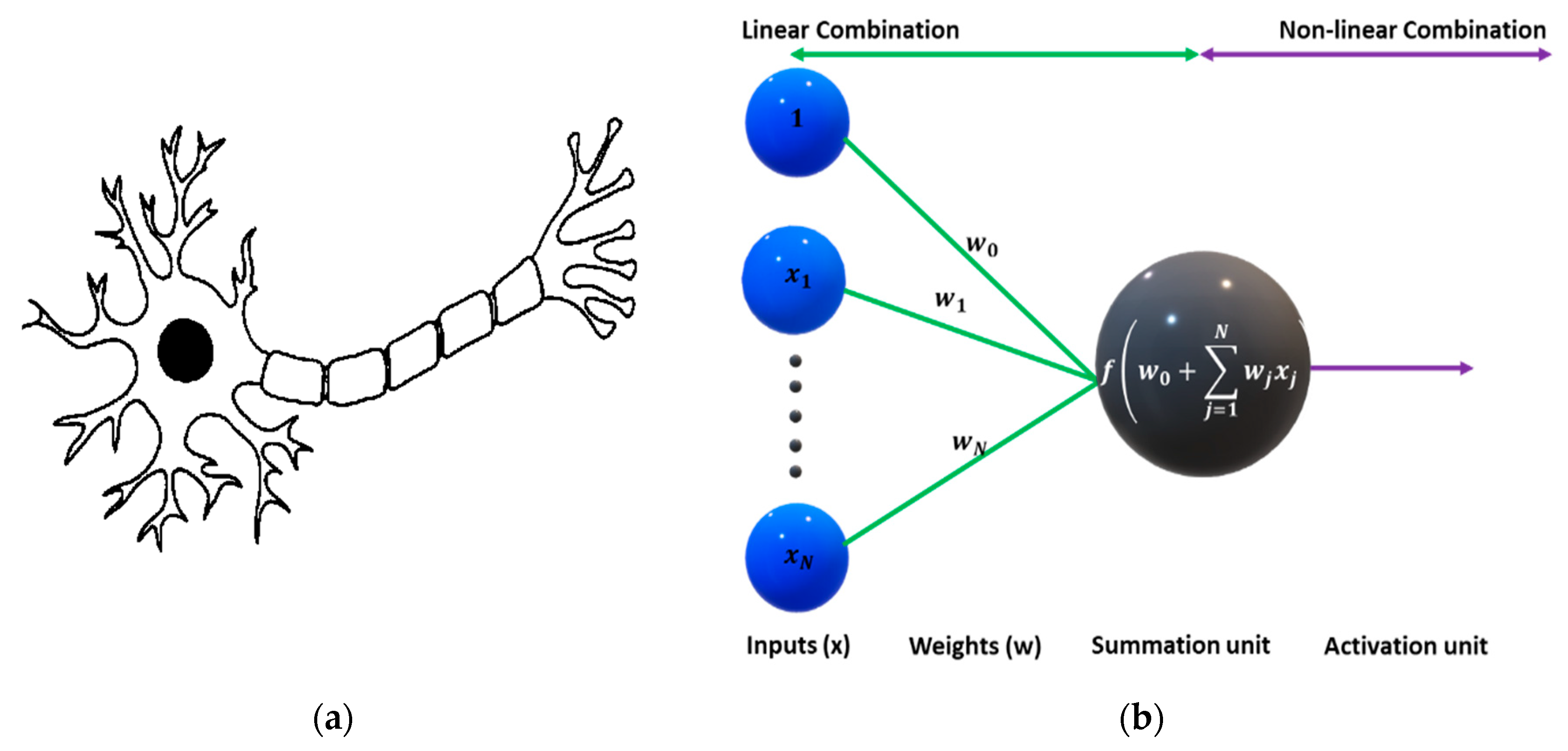 Mathematics 11 04937 g005