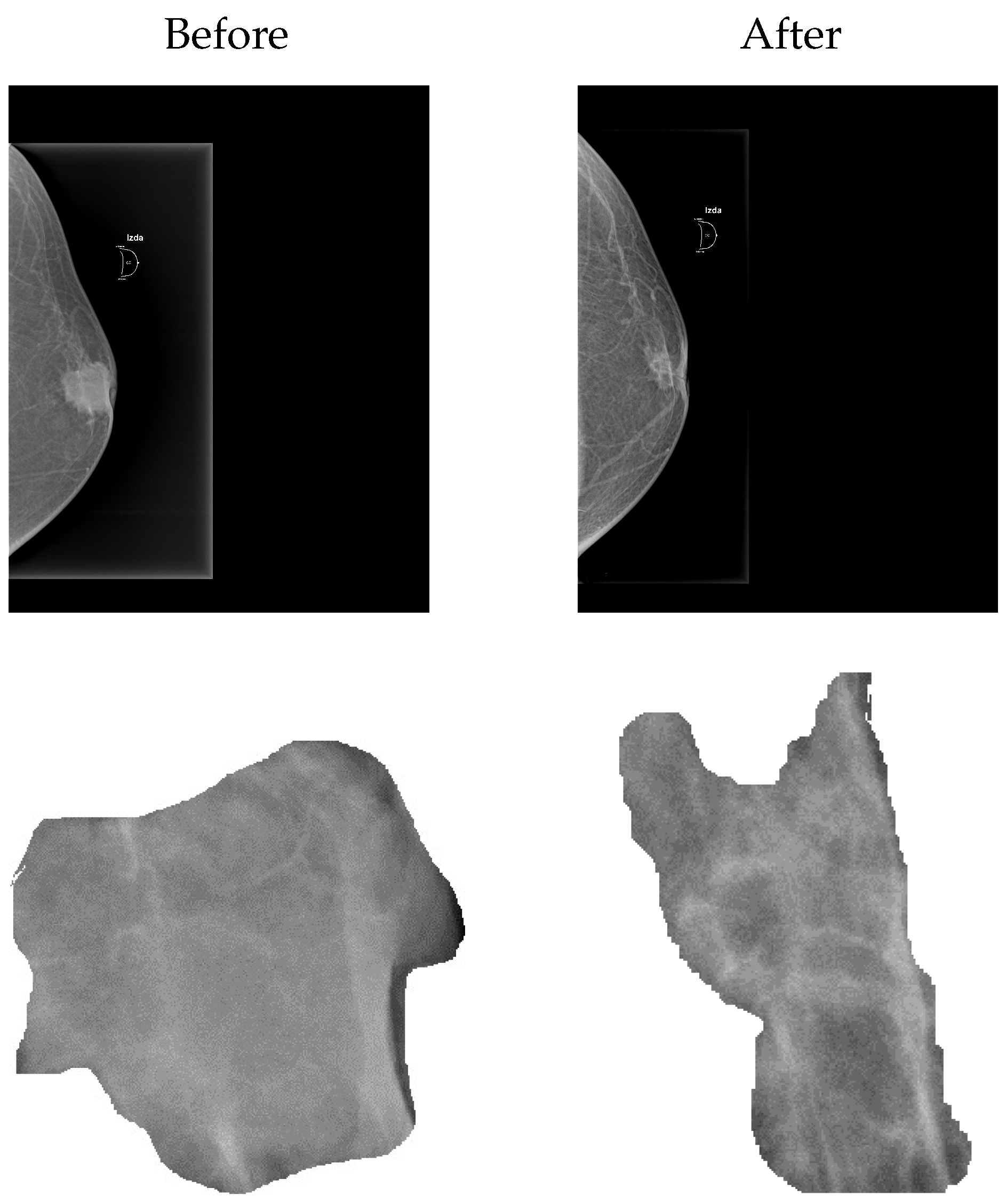 Mathematics 11 04988 g001