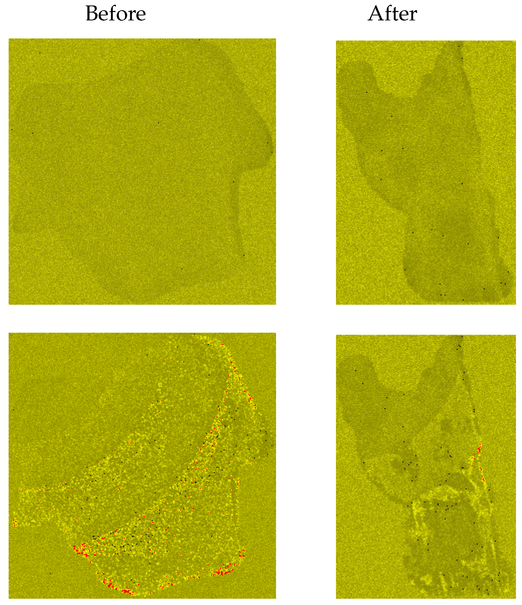 Mathematics 11 04988 g003