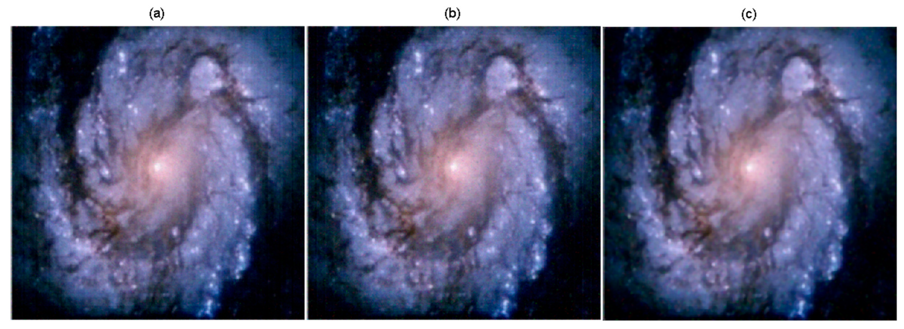 Mathematics 12 00013 g005