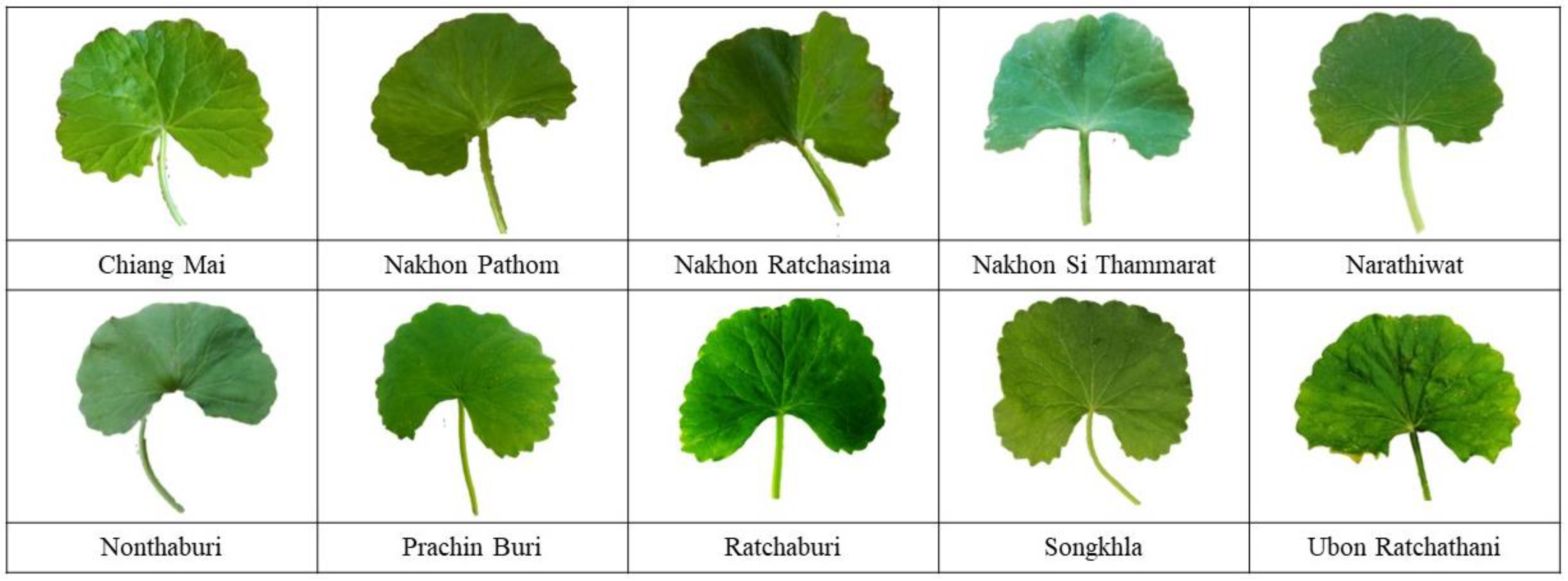 Mathematics 12 00351 g001