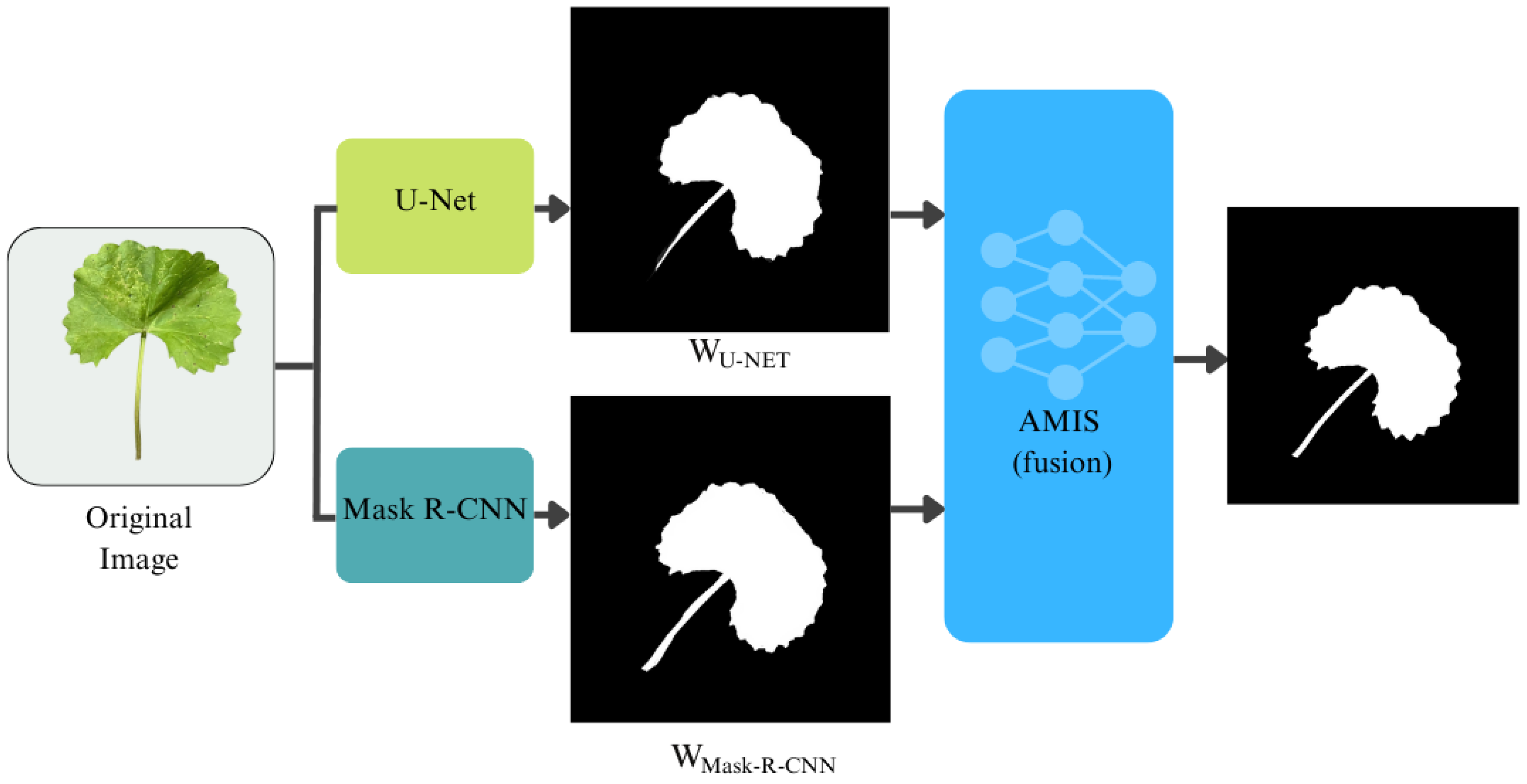 Mathematics 12 00351 g003