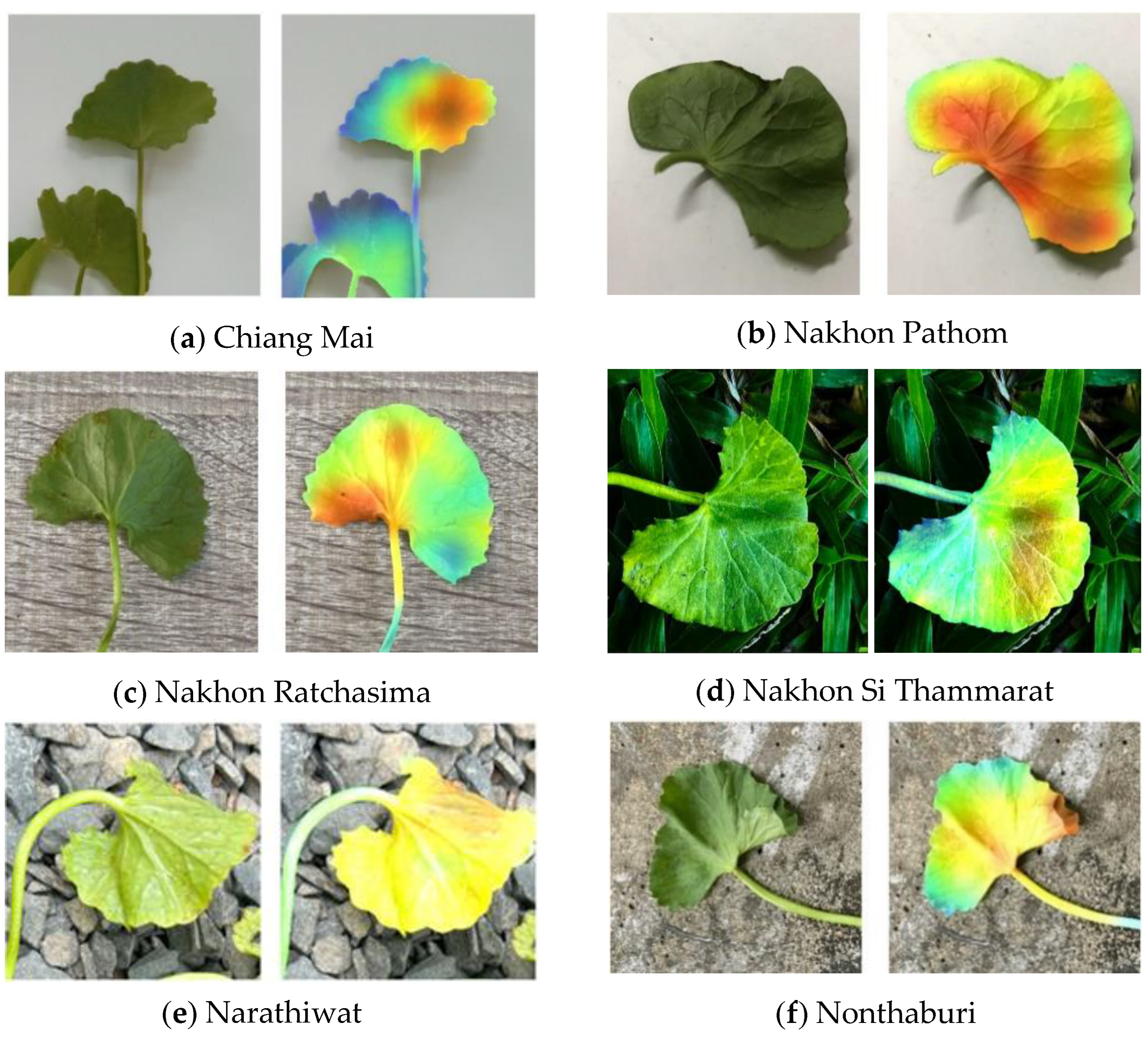 Mathematics 12 00351 g008a