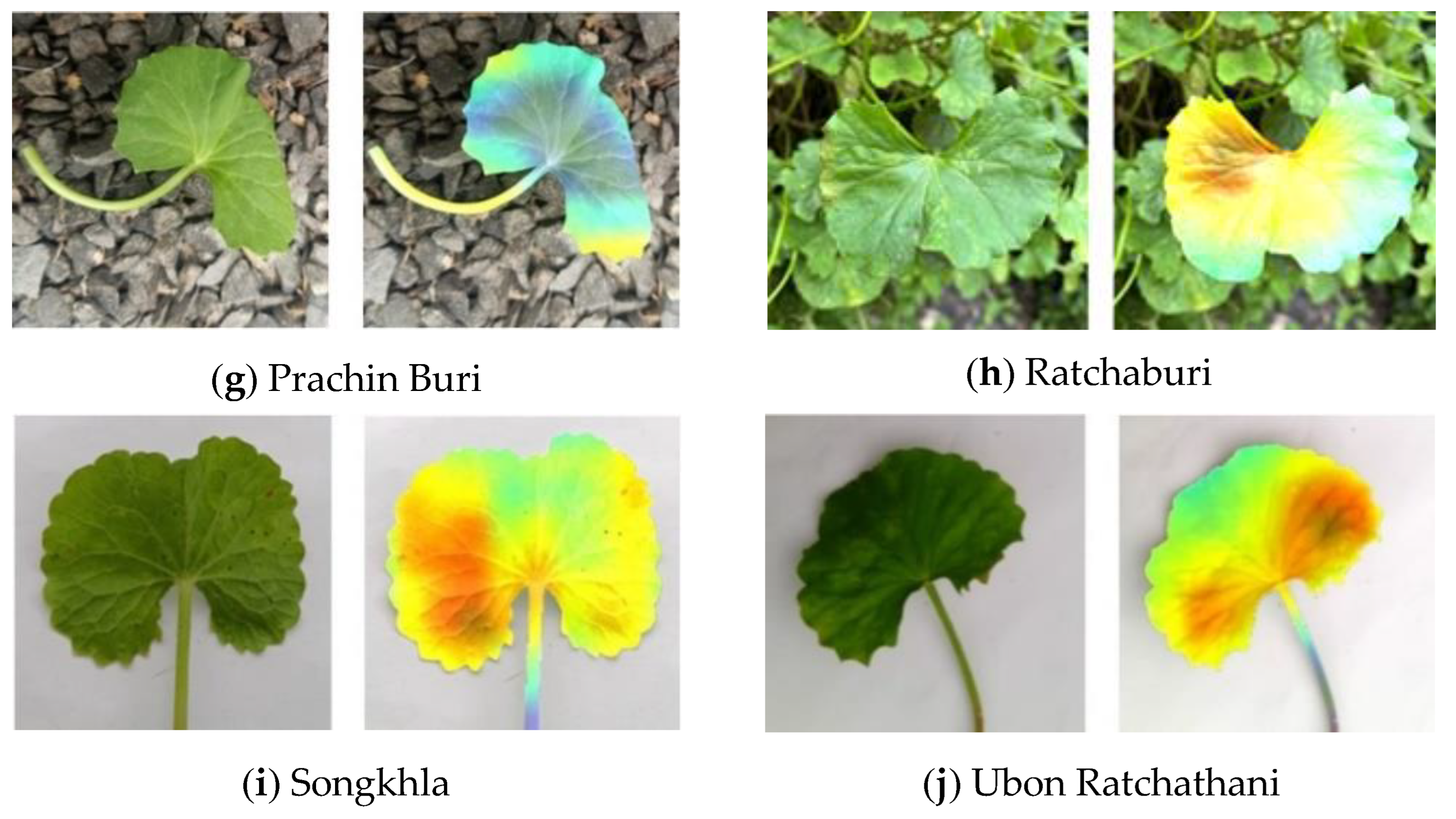Mathematics 12 00351 g008b