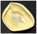 Mathematics 12 00368 i001