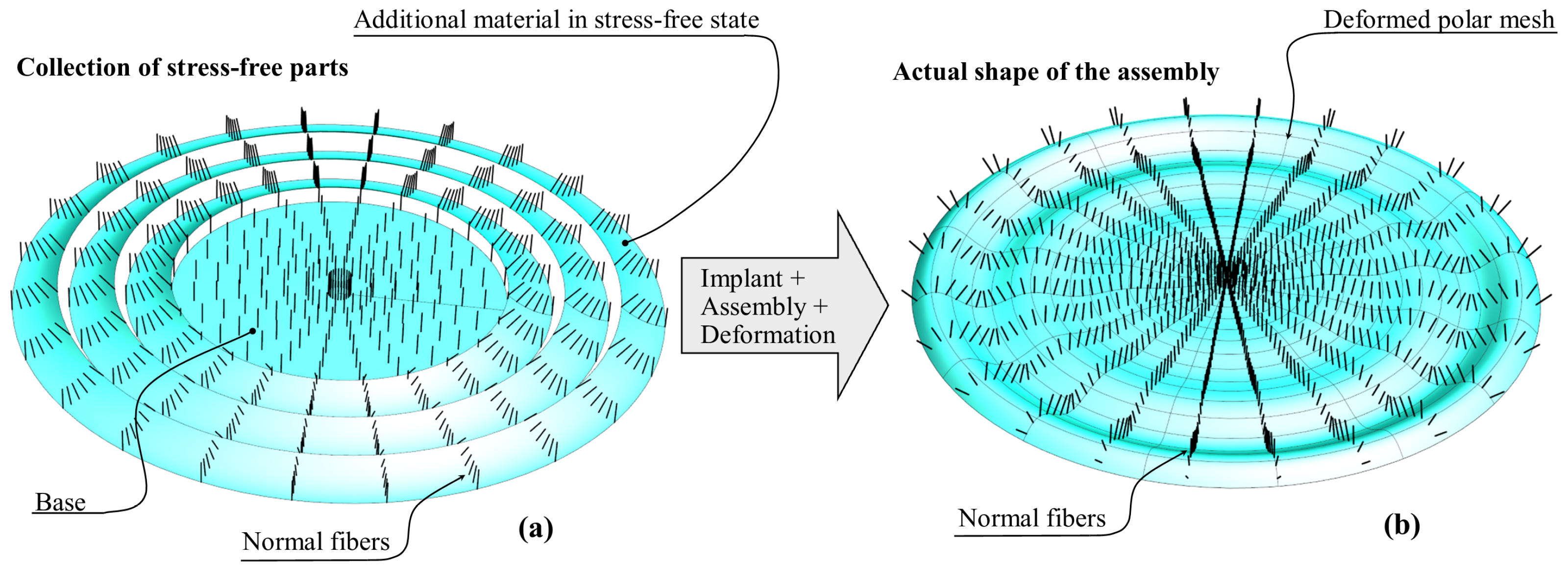 Mathematics 12 00596 g004