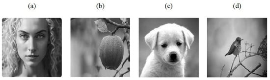 Mathematics 12 00797 g001