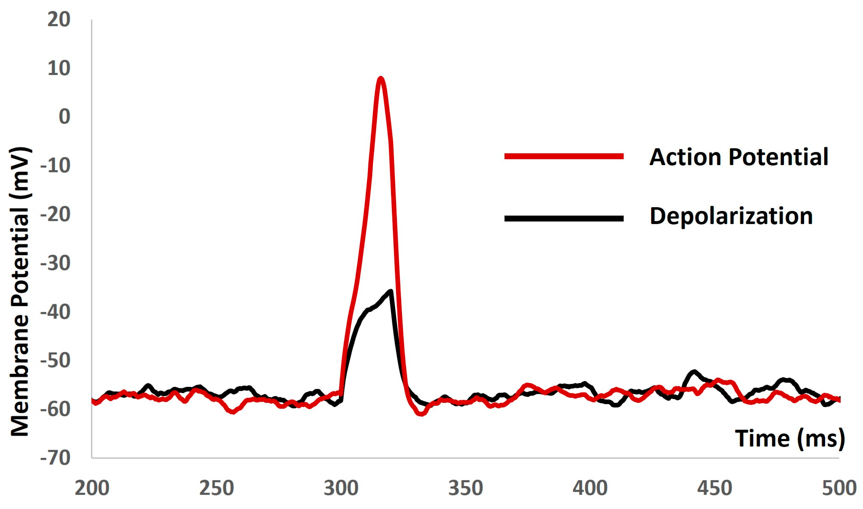 Mathematics 12 01149 g008