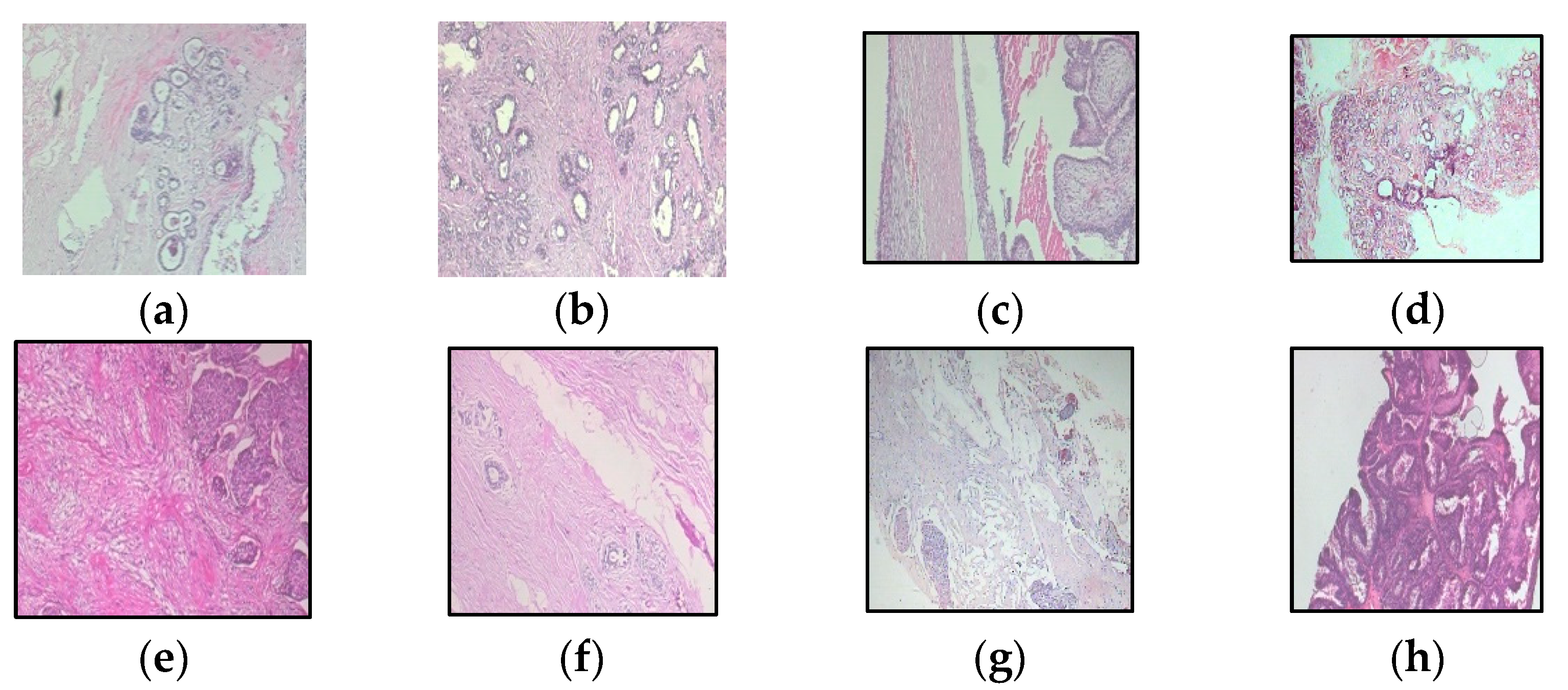 Mathematics 12 01537 g003