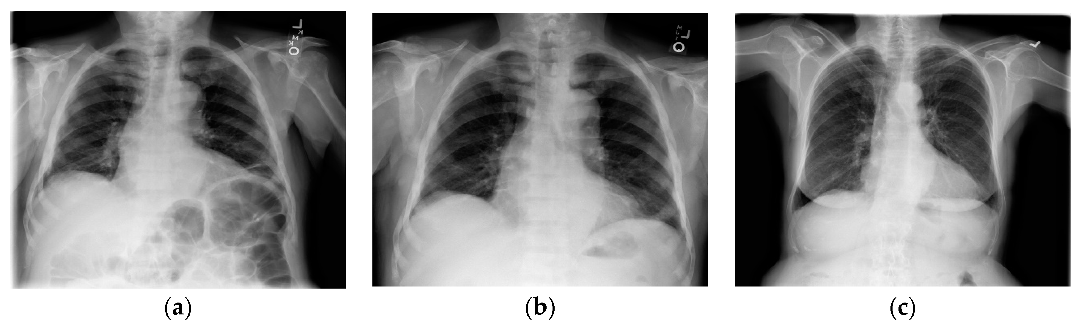 Mathematics 12 01537 g004a