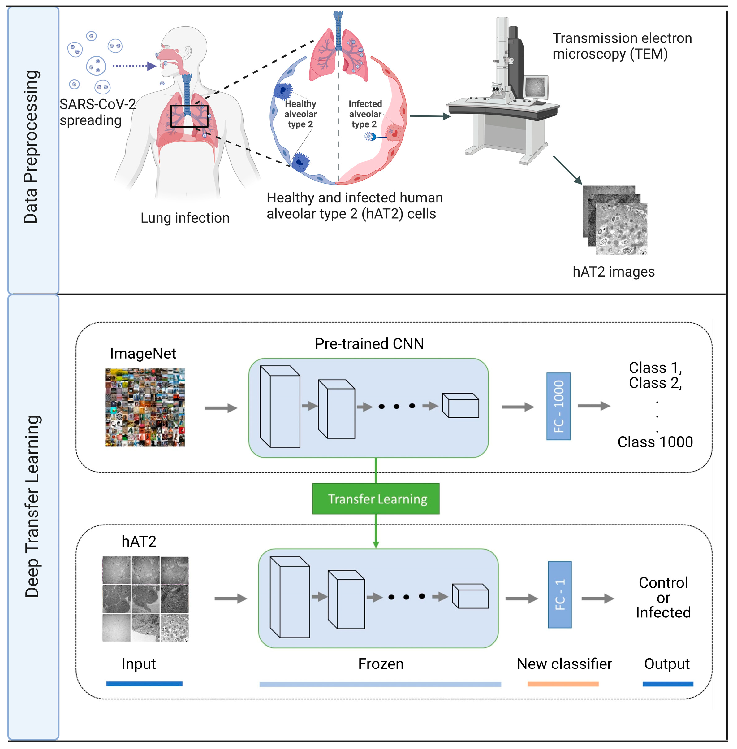 Mathematics 12 01573 g001