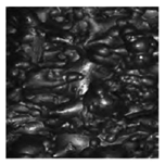 Mathematics 12 01685 i002