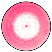 Mathematics 12 01943 i004