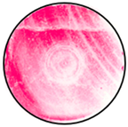 Mathematics 12 01943 i019