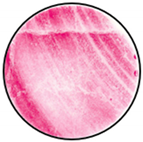 Mathematics 12 01943 i020