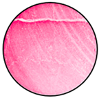 Mathematics 12 01943 i021