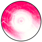 Mathematics 12 01943 i022